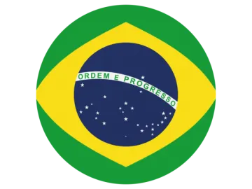 the brazilian flag