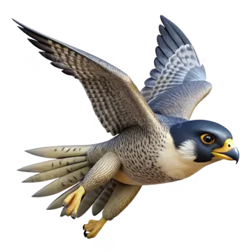 a bird flying with its wings spread out