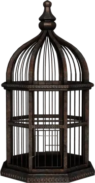 a bird in a cage on a white background
