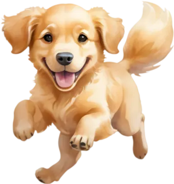 a dog running with its mouth open