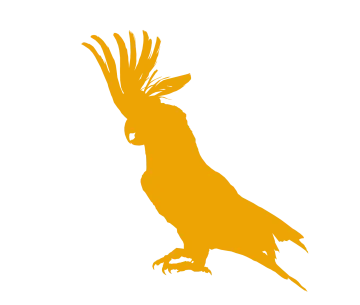 a silhouette of a bird on a white background
