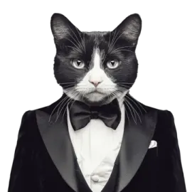 a black and white cat in a tuxed suit