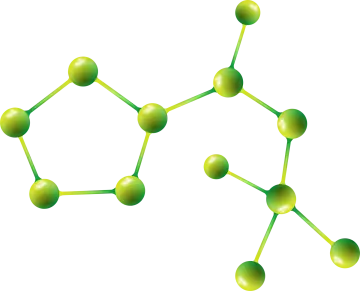 the structure of a molecule