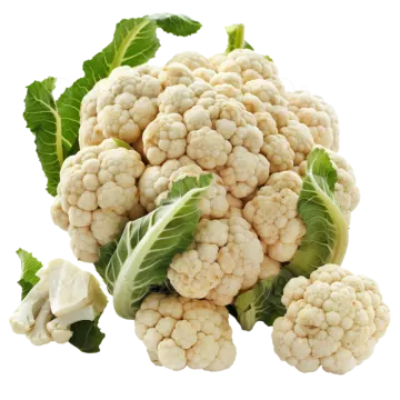 a bunch of caulidesa on white background