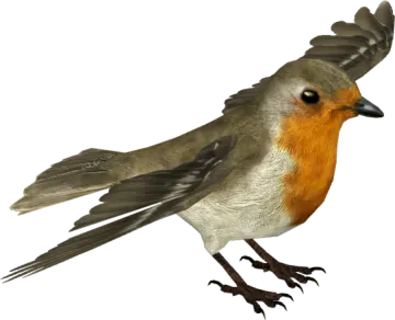 a bird that is flying in the air
