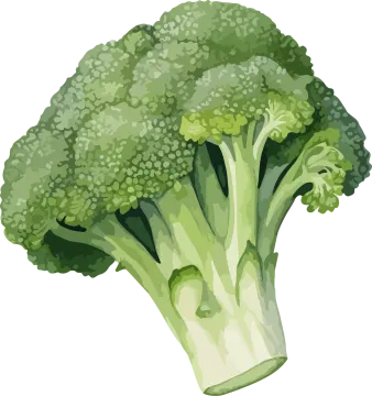 a piece of broccote