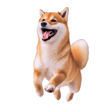 a brown and white dog jumping in the air