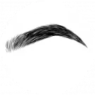 a black and white image of a pair of eyelashes