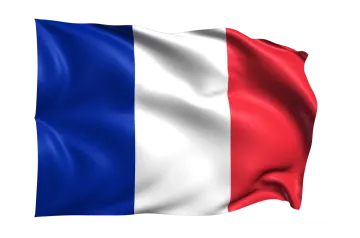 the flag of france on a white background