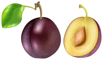 two plums with a green leaf on top
