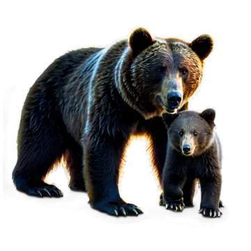 two bears standing next to each other bears
