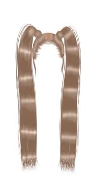 a drawing of long brown hair