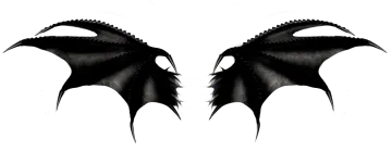 two black dragon wings on a white background