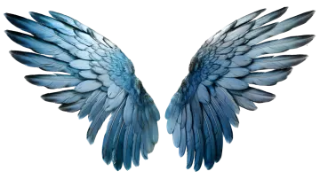 two blue wings on a white background