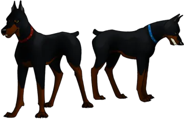 a black and brown dog standing side by side