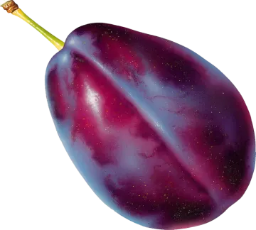 a purple egg on a white background