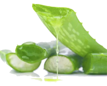 a pile of cucums on a white background
