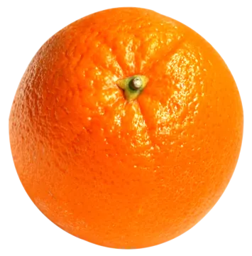 an orange on a white background