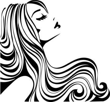 the silhouette of a woman with long hair