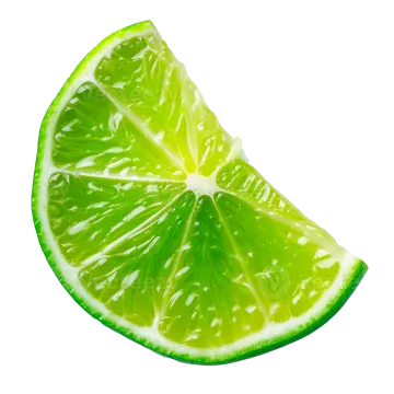 lime slice on a white background