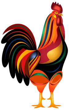 a colorful rooster standing on its hinds
