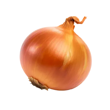 an onion on a white background