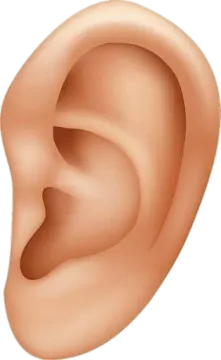 an illustration of a human's ear