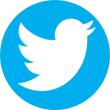 the twitter logo