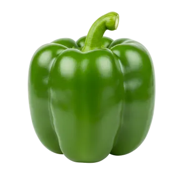 a green pepper on a white background
