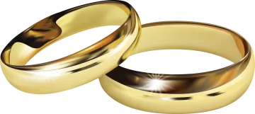 two gold wedding rings