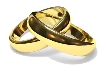 two gold wedding rings on a white background