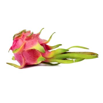 dragon fruit on a white background