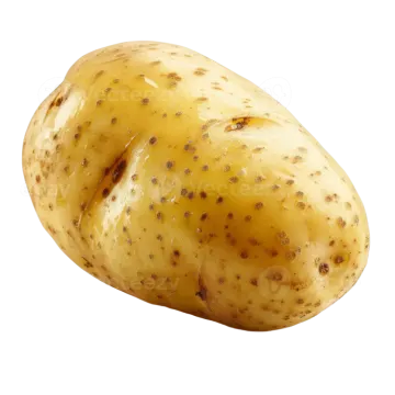 a potato on a white background