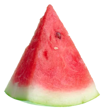 a slice of watermelon