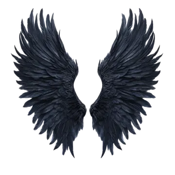 two black wings on a white background