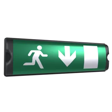 a green emergency exit sign on a white background