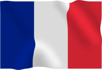 the flag of france