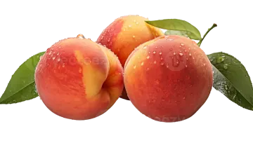 three peaches with water droplets on them