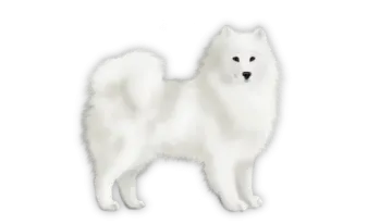 an illustration of a white dog with black eyes