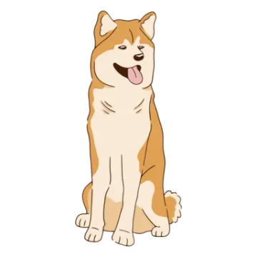 a brown and white dog sitting on the ground