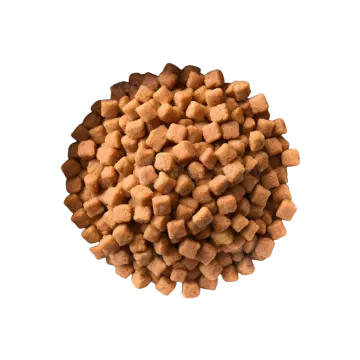 a white bowl filled with dog food