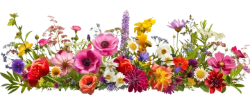 a bouquet of flowers on a white background