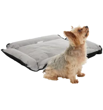 a small dog sitting on top of a pillow
