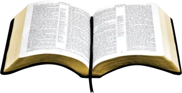 an open book with a white background