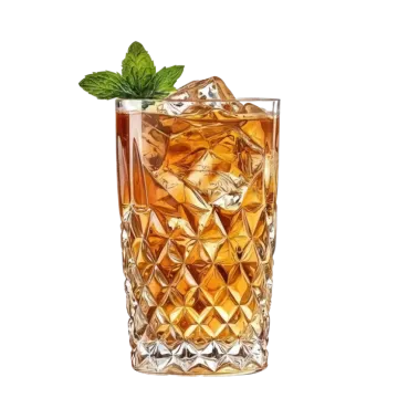 a glass of whiskey with ice and mint