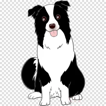 a black and white dog sitting on a transparent background
