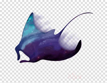a silhouette of a whale in space with stars and nebulas