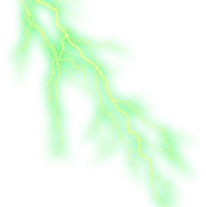 an illustration of a tree branch with green leaves