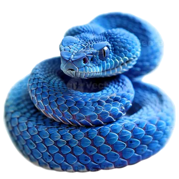 a blue snake on a white background