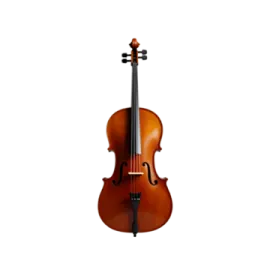 a violin on a white background